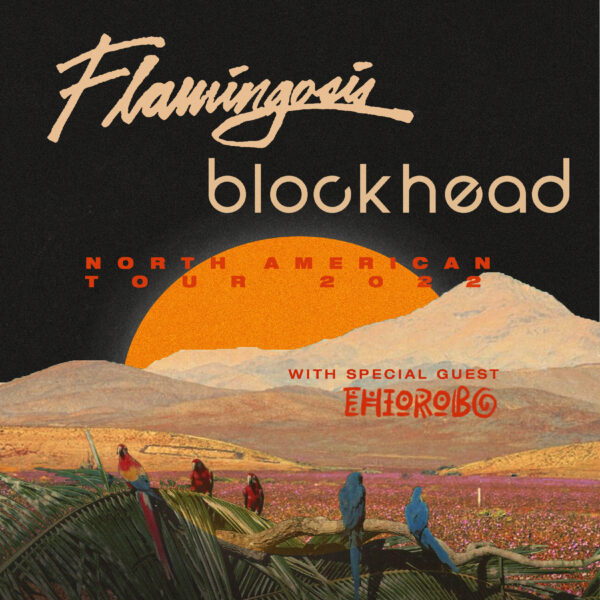 Flamingosis & Blockhead